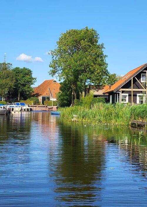 482061267116205255228883510477