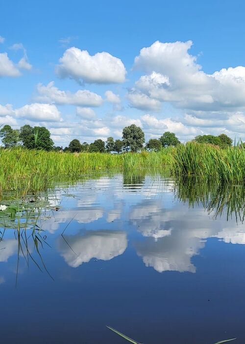 482979162116205278895547858153