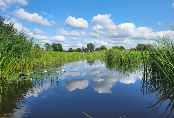 482979162116205278895547858153